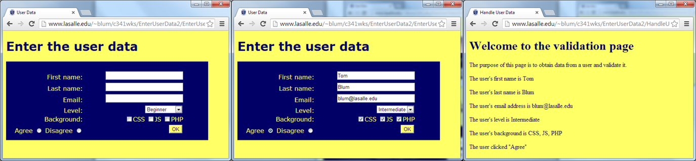 Enter Data request and response screen capture