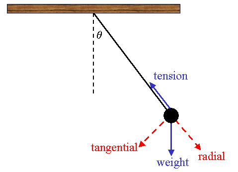 Pendulum with Radial and tangemtial coordinate system