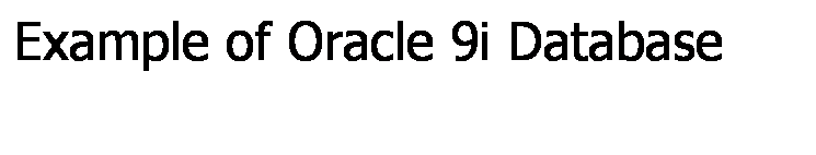 Text Box: Example of Oracle 9i Database
