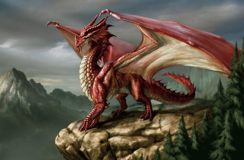 red western dragon